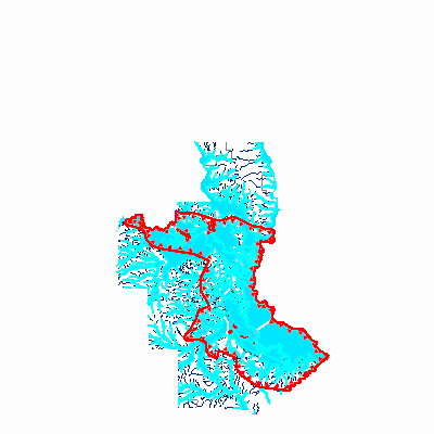 Export Image